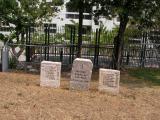 image of grave number 25051